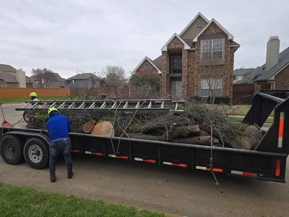 Expert Crown Reduction with proper safety equipment in Louisville